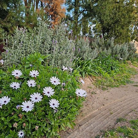 Gowrie Agapanthus Apartment Сингълтън Екстериор снимка